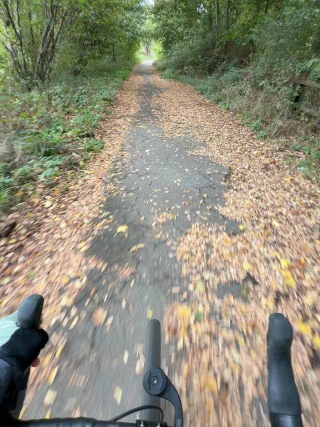 Herbstsonntag 🍂🍁